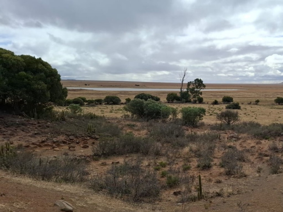 4 Bedroom Property for Sale in Bloemfontein Rural Free State